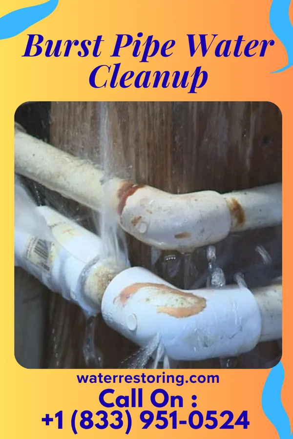 Burst Pipe Water Cleanup in Troutdale, VA