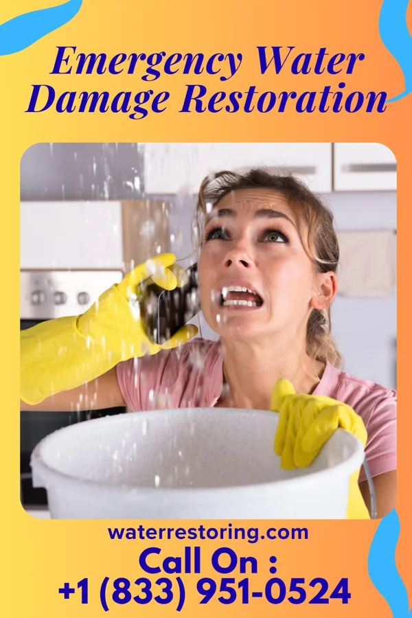 Emergency Water Damage Restoration in Troutdale, VA
