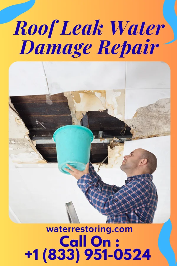 Roof Leak Water Damage Repair in Troutdale, VA