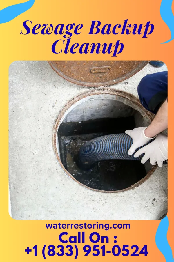 Sewage Backup Cleanup in Troutdale, VA