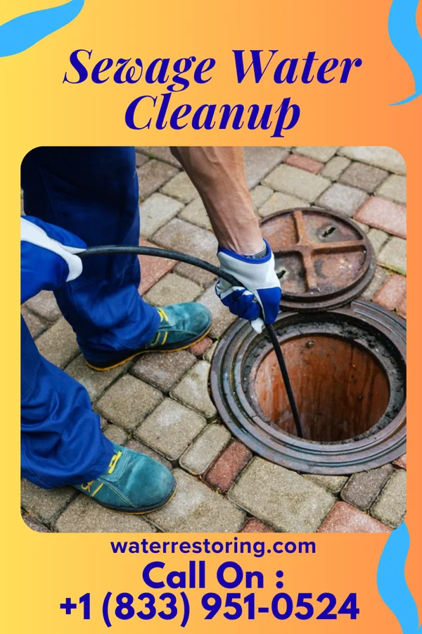 Sewage Water Cleanup in Troutdale, VA